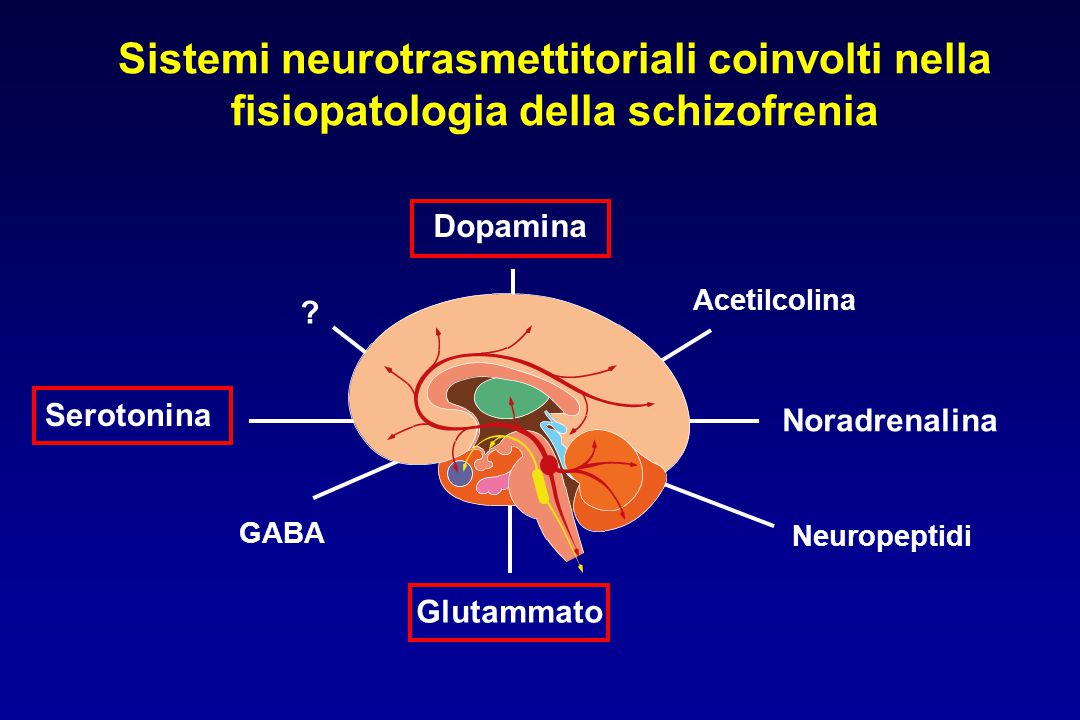 Sistemi neurotrasmettitoriali coinvolti nella fisiopatologia della schizofrenia