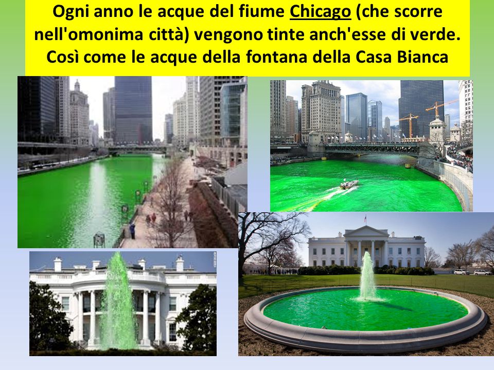Ogni anno le acque del fiume Chicago (che scorre nell omonima città) vengono tinte anch esse di verde.