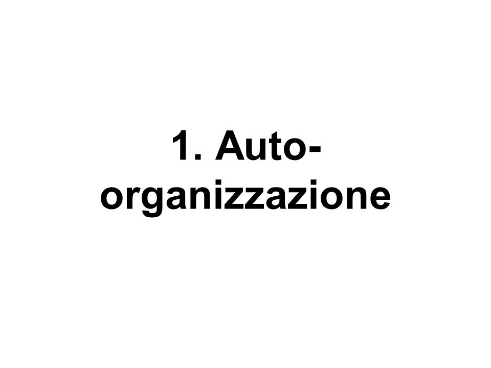 1. Auto-organizzazione