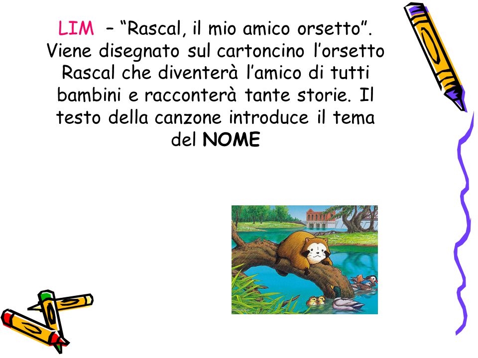 LIM – Rascal, il mio amico orsetto