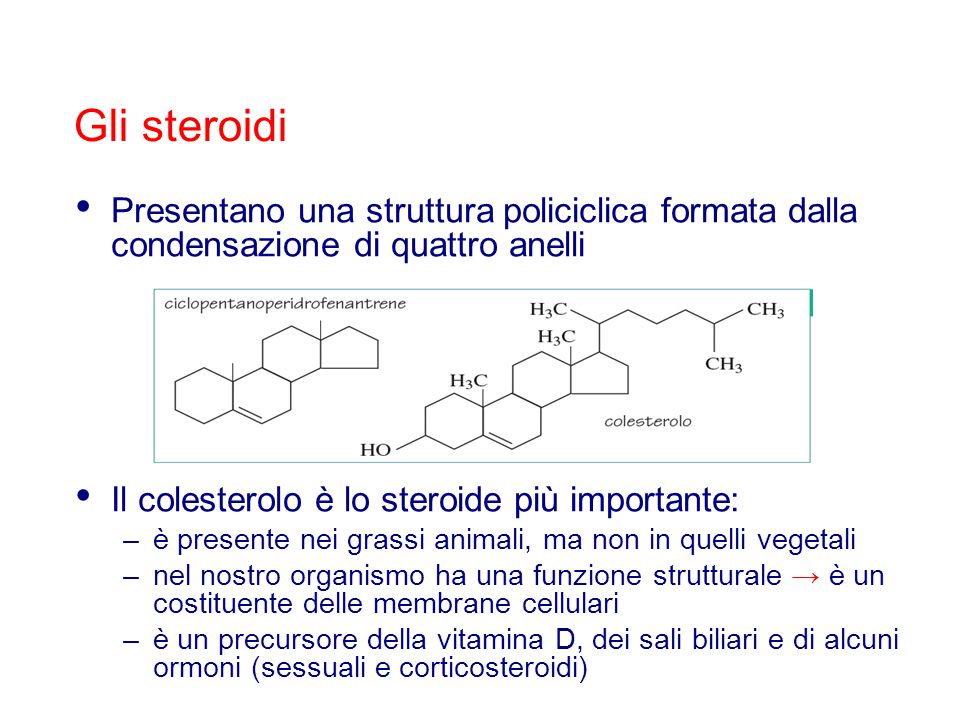 Approfitta di steroidi costo: leggi questi 99 suggerimenti