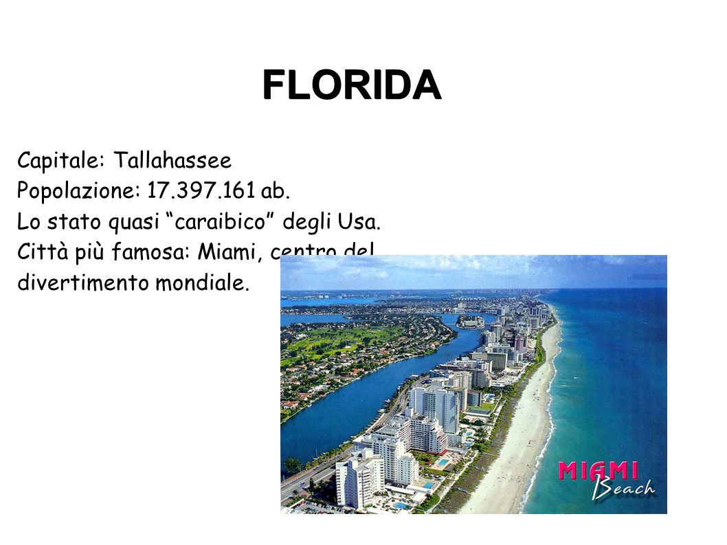 FLORIDA Città più famosa: Miami, centro del divertimento mondiale.