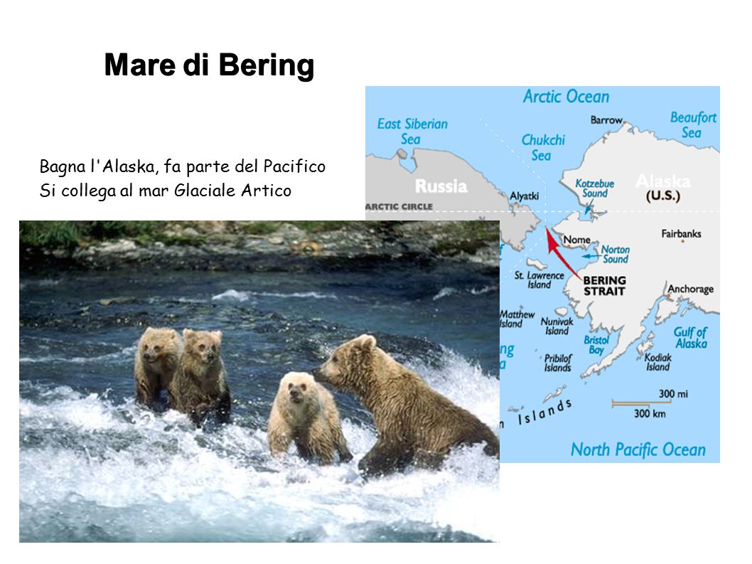 Mare di Bering Bagna l Alaska, fa parte del Pacifico