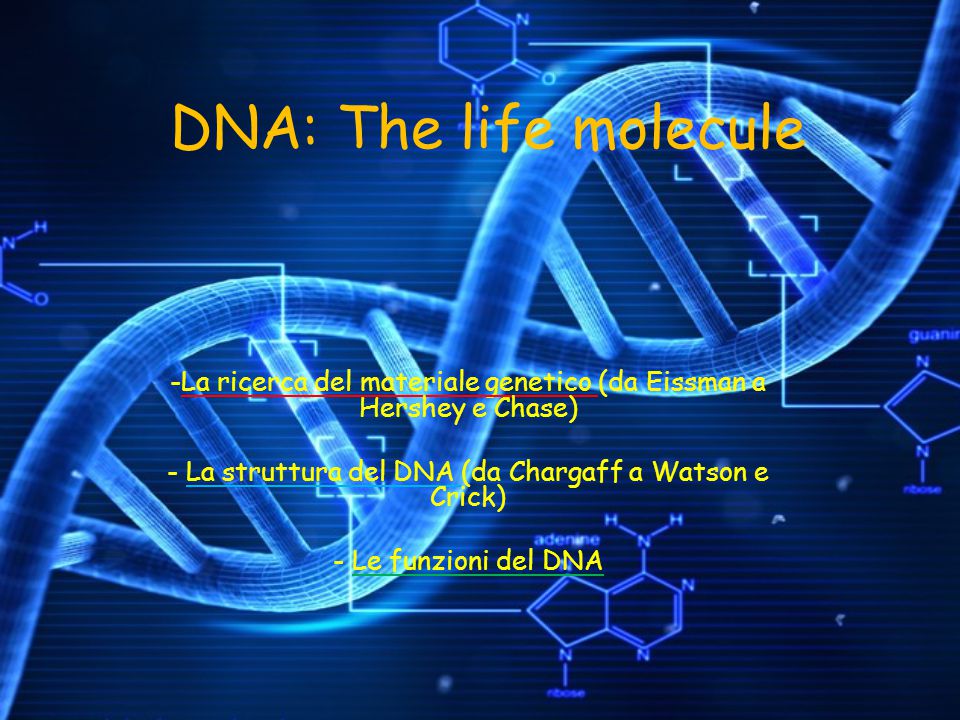 DNA: The life molecule La ricerca del materiale genetico (da Eissman a Hershey e Chase) La struttura del DNA (da Chargaff a Watson e Crick)