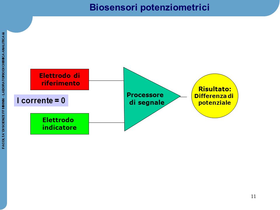 Biosensori potenziometrici