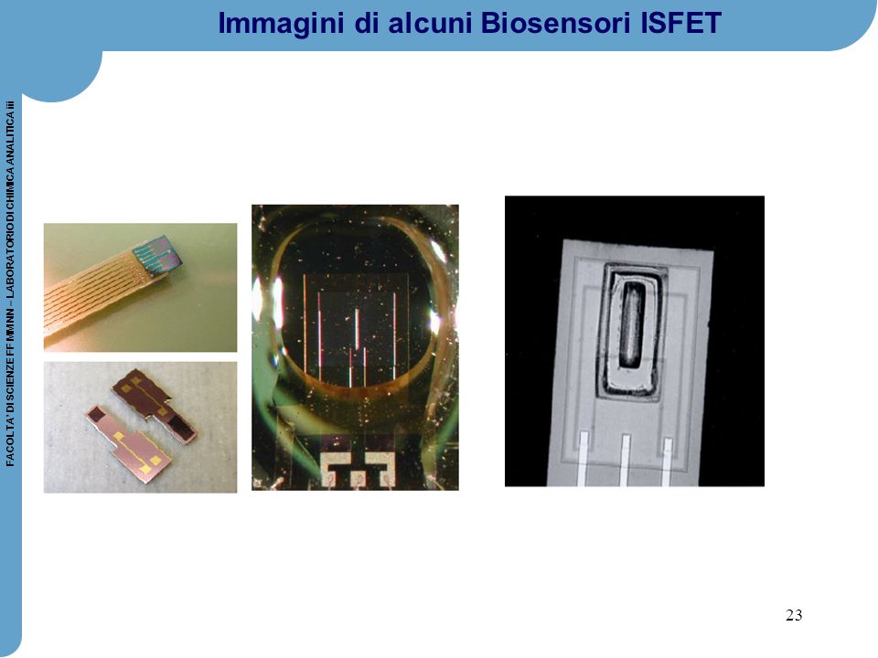 Immagini di alcuni Biosensori ISFET