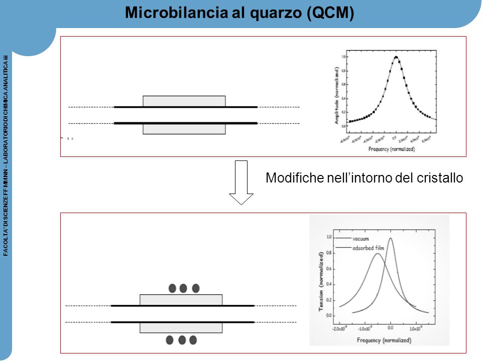 Microbilancia al quarzo (QCM)