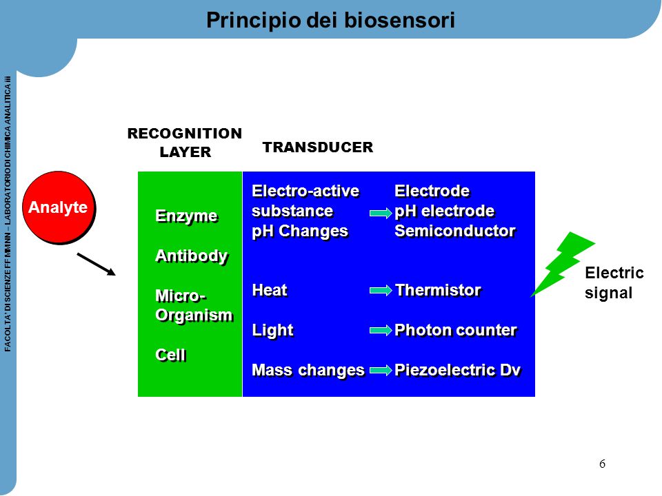 Principio dei biosensori