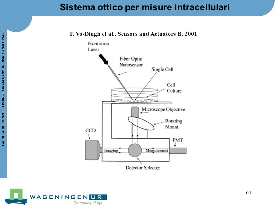 Sistema ottico per misure intracellulari