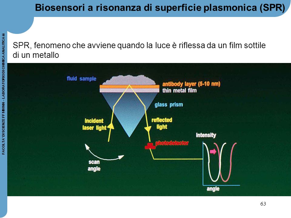 Biosensori a risonanza di superficie plasmonica (SPR)