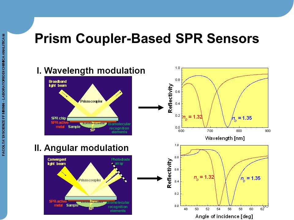 Prism Coupler-Based SPR Sensors