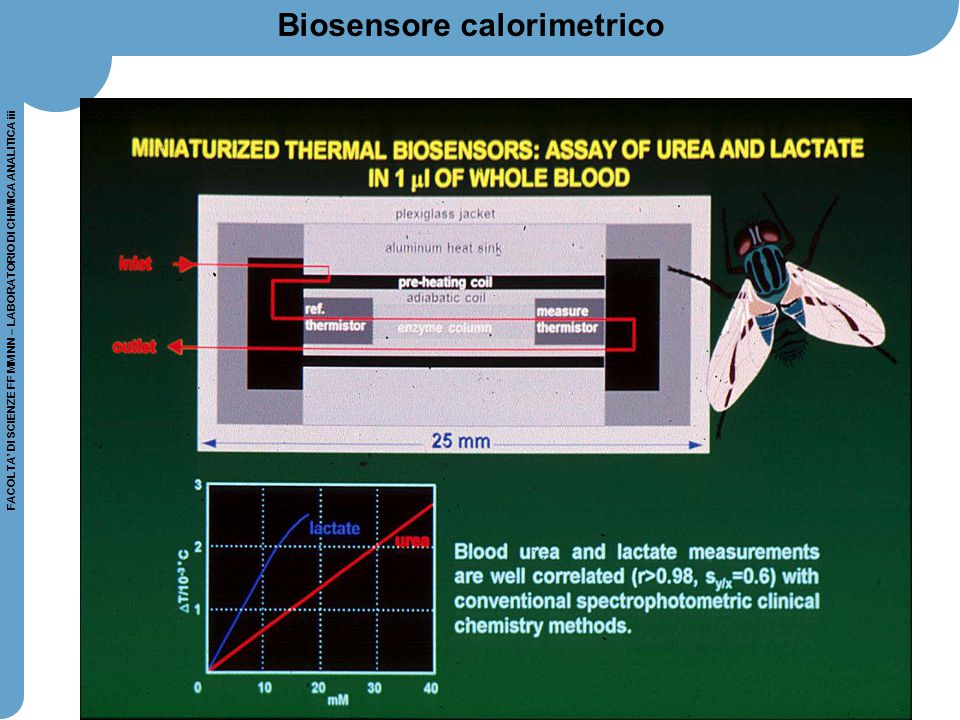 Biosensore calorimetrico
