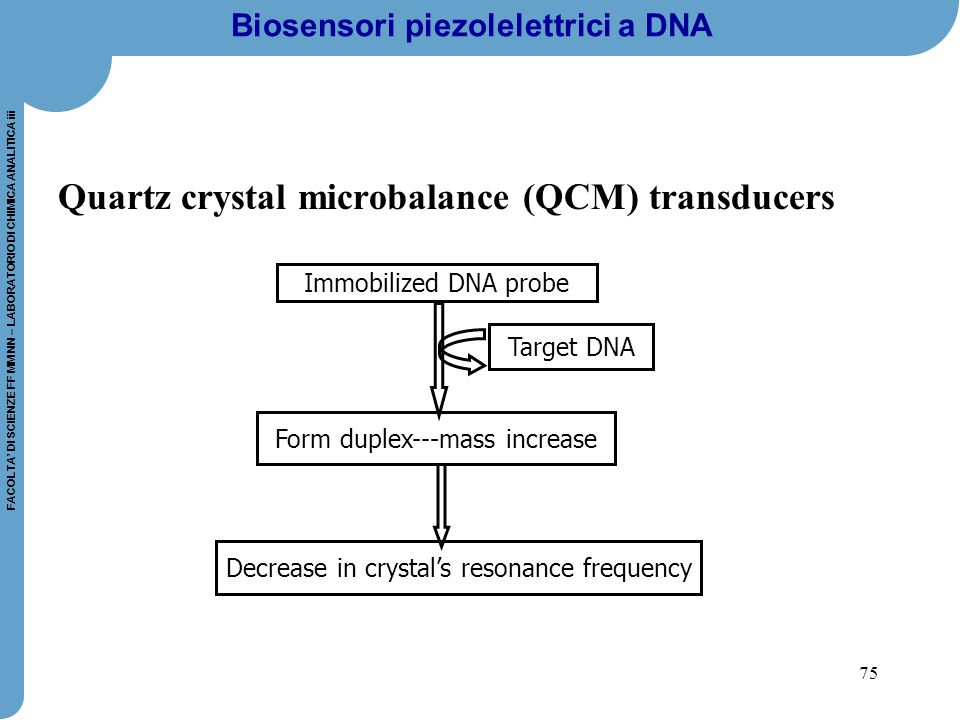 Biosensori piezolelettrici a DNA