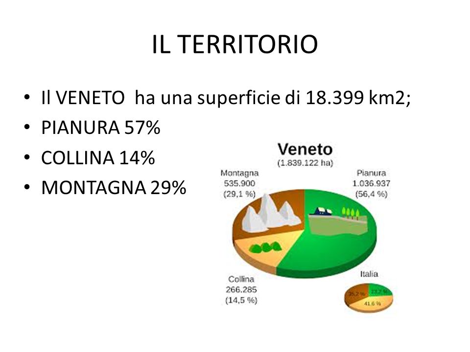 IL TERRITORIO Il VENETO ha una superficie di km2; PIANURA 57%