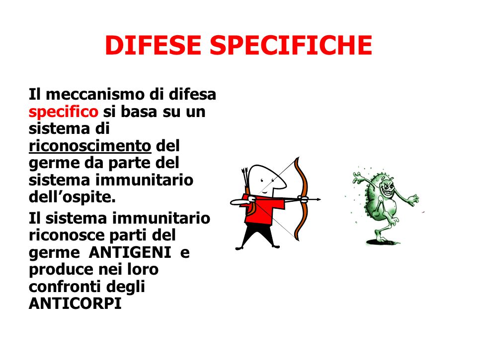 DIFESE SPECIFICHE Il meccanismo di difesa specifico si basa su un sistema di riconoscimento del germe da parte del sistema immunitario dell’ospite.