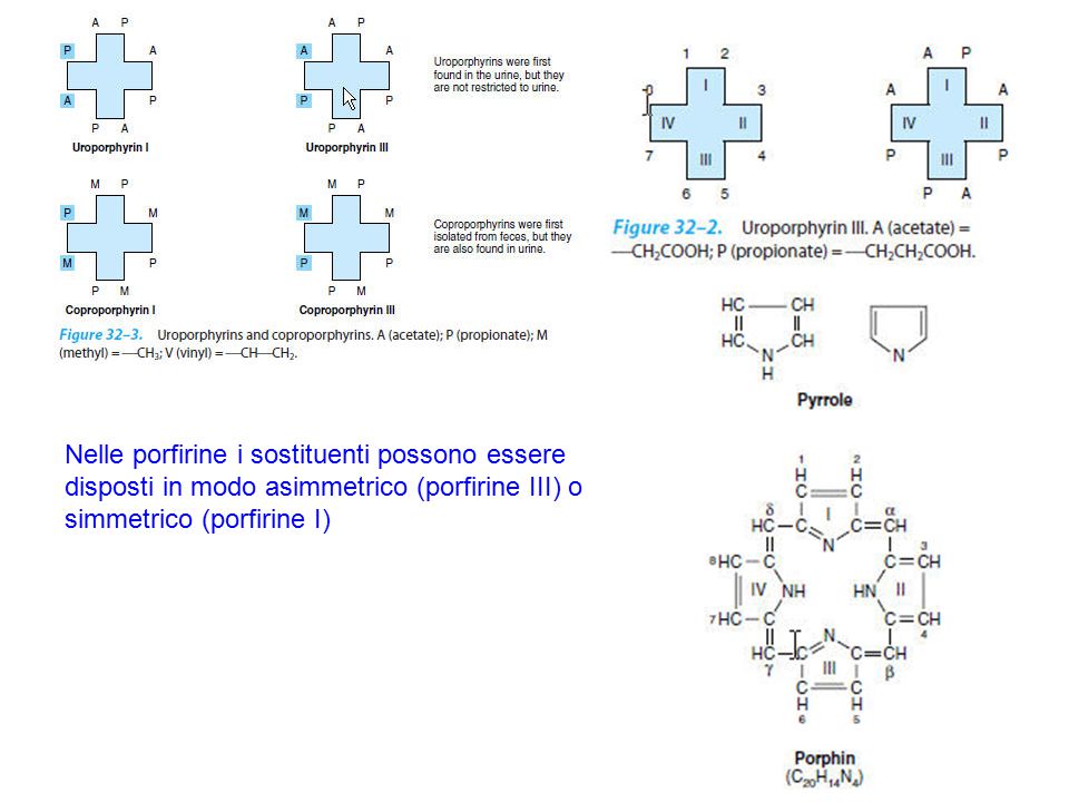 Nelle porfirine i sostituenti possono essere disposti in modo asimmetrico (porfirine III) o simmetrico (porfirine I)