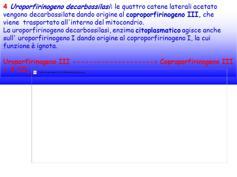 4 Uroporfirinogeno decarbossilasi: le quattro catene laterali acetato vengono decarbossilate dando origine al coproporfirinogeno III, che viene trasportato all interno del mitocondrio.