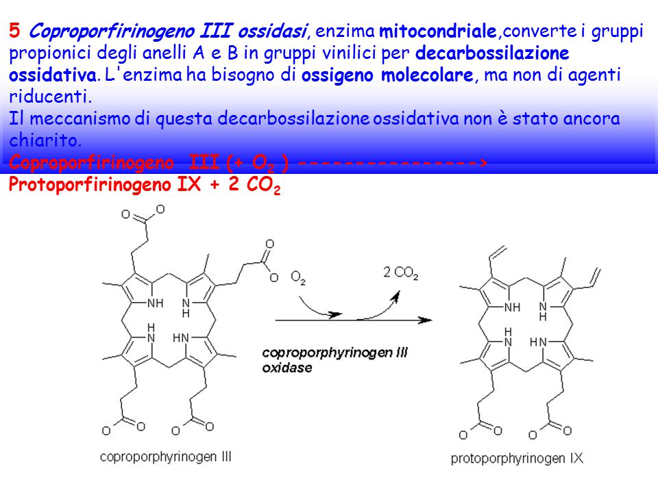 5 Coproporfirinogeno III ossidasi, enzima mitocondriale,converte i gruppi propionici degli anelli A e B in gruppi vinilici per decarbossilazione ossidativa. L enzima ha bisogno di ossigeno molecolare, ma non di agenti riducenti. Il meccanismo di questa decarbossilazione ossidativa non è stato ancora chiarito.