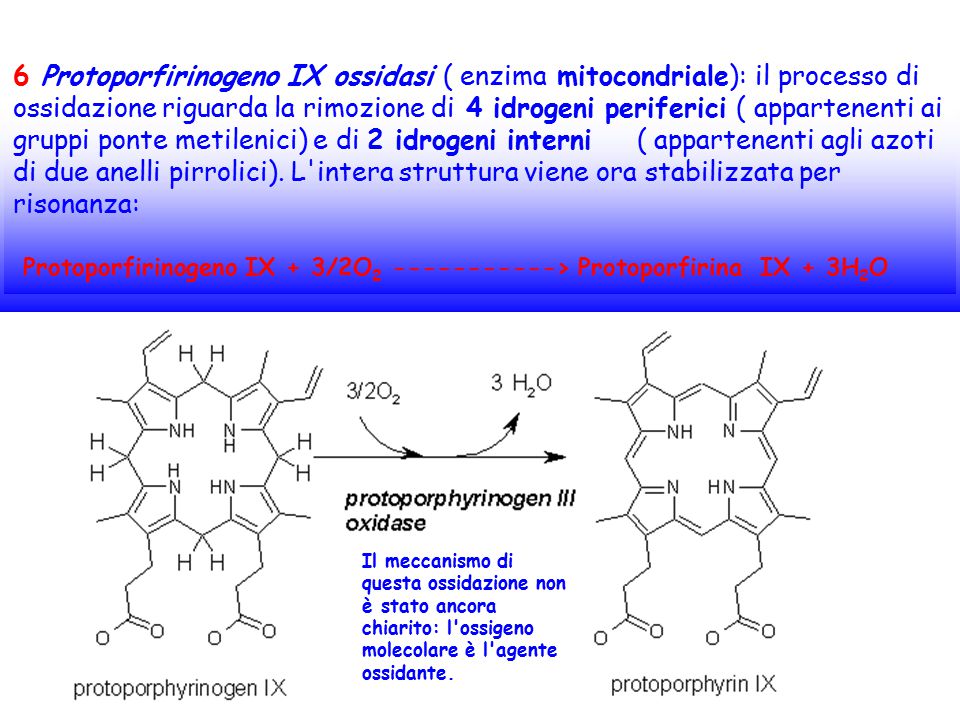 6 Protoporfirinogeno IX ossidasi ( enzima mitocondriale): il processo di ossidazione riguarda la rimozione di 4 idrogeni periferici ( appartenenti ai gruppi ponte metilenici) e di 2 idrogeni interni ( appartenenti agli azoti di due anelli pirrolici). L intera struttura viene ora stabilizzata per risonanza: