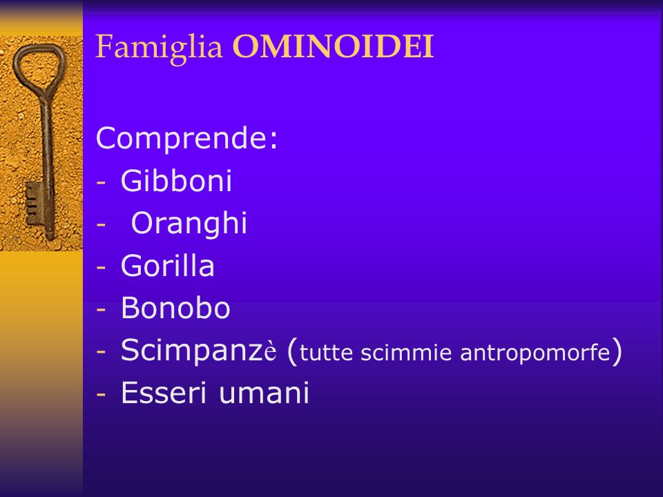 Famiglia OMINOIDEI Comprende: Gibboni Oranghi Gorilla Bonobo