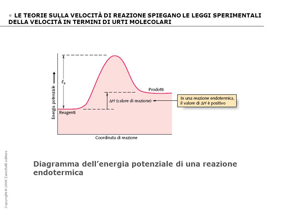 Diagramma dell’energia potenziale di una reazione endotermica