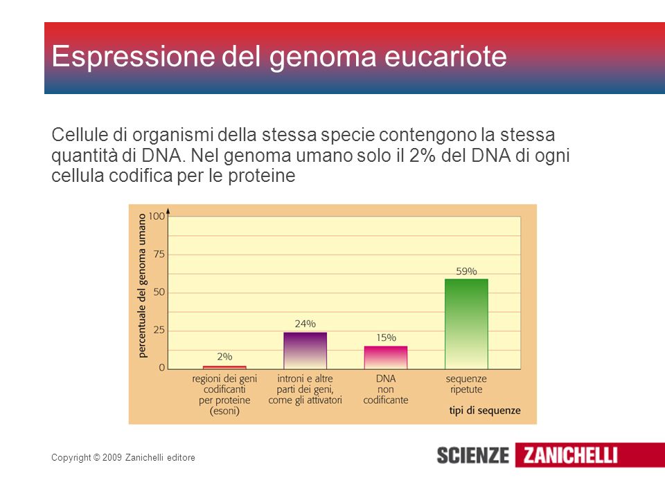 Espressione del genoma eucariote