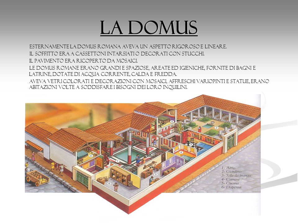 La domus ESTERNAMENTE LA DOMUS ROMANA AVEVA UN ASPETTO RIGOROSO E LINEARE. Il soffitto era a cassettoni intarsiati o decorati con stucchi.