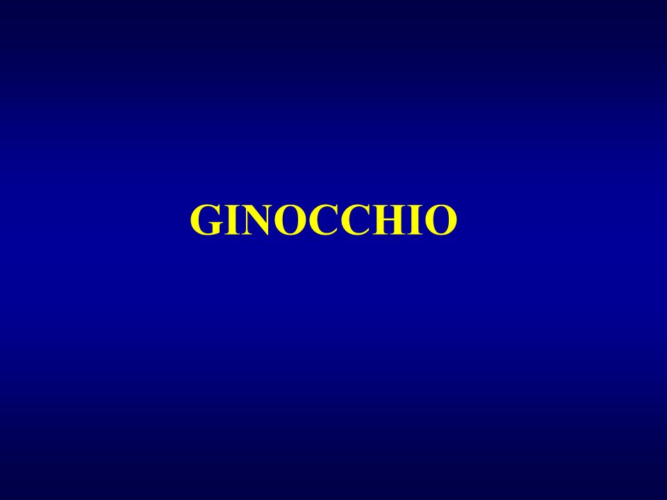 GINOCCHIO