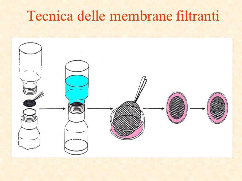 Tecnica delle membrane filtranti