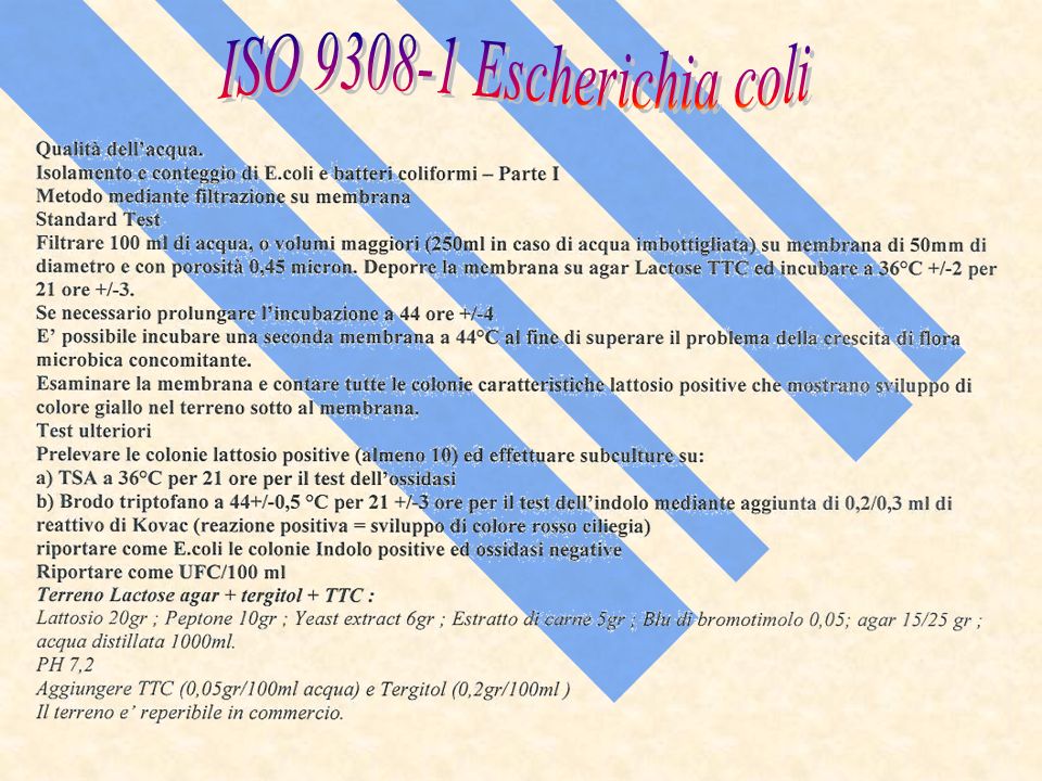ISO Escherichia coli