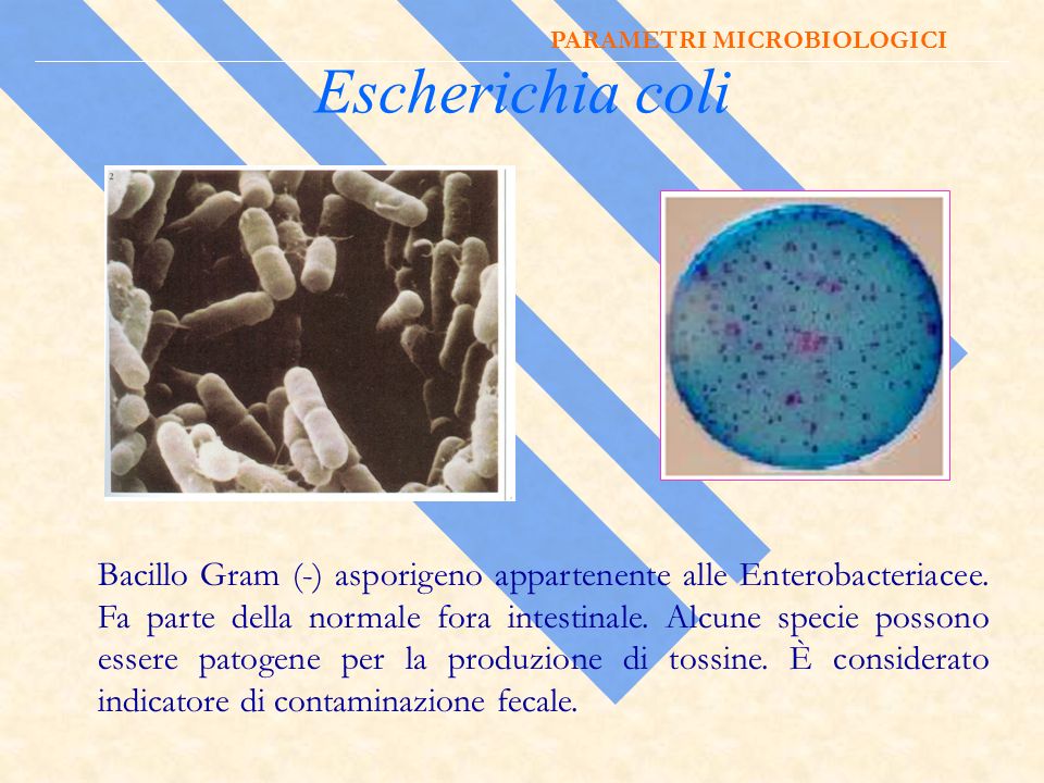 PARAMETRI MICROBIOLOGICI