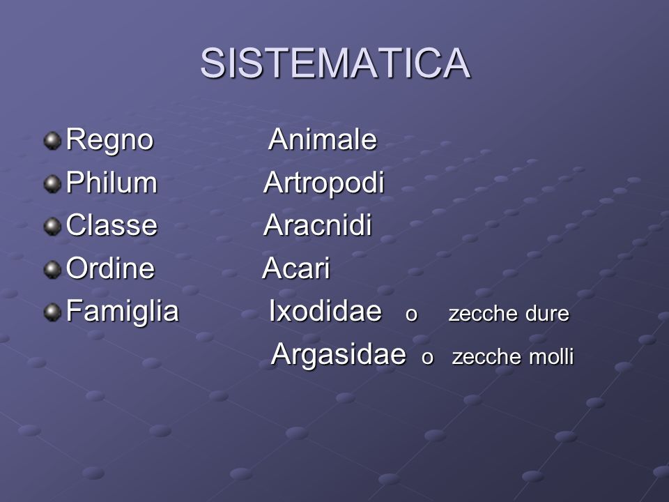 SISTEMATICA Regno Animale Philum Artropodi Classe Aracnidi