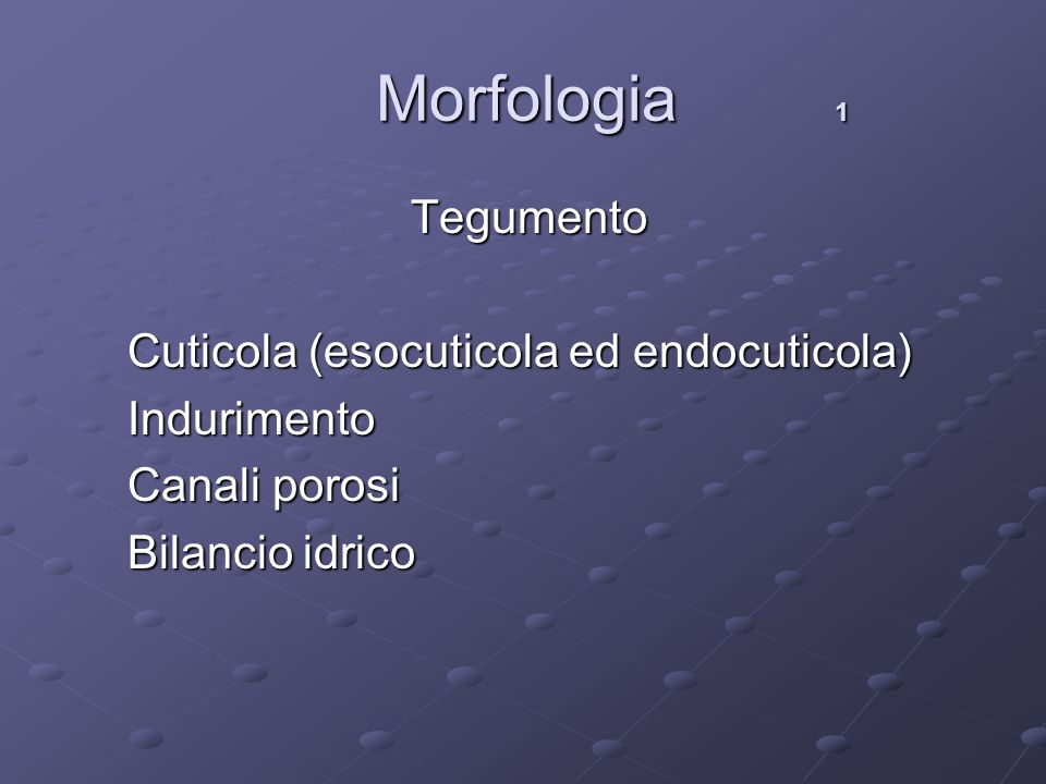 Morfologia 1 Tegumento Cuticola (esocuticola ed endocuticola)