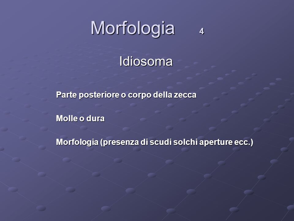 Morfologia 4 Idiosoma Parte posteriore o corpo della zecca