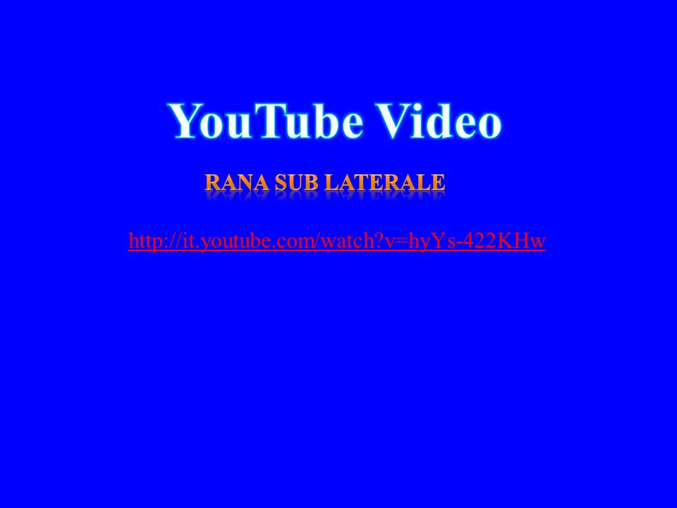 YouTube Video Rana sub laterale