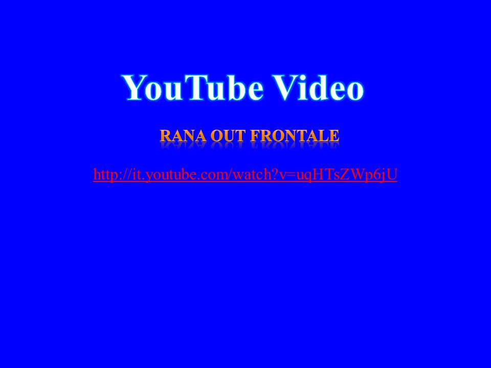 YouTube Video Rana out frontale