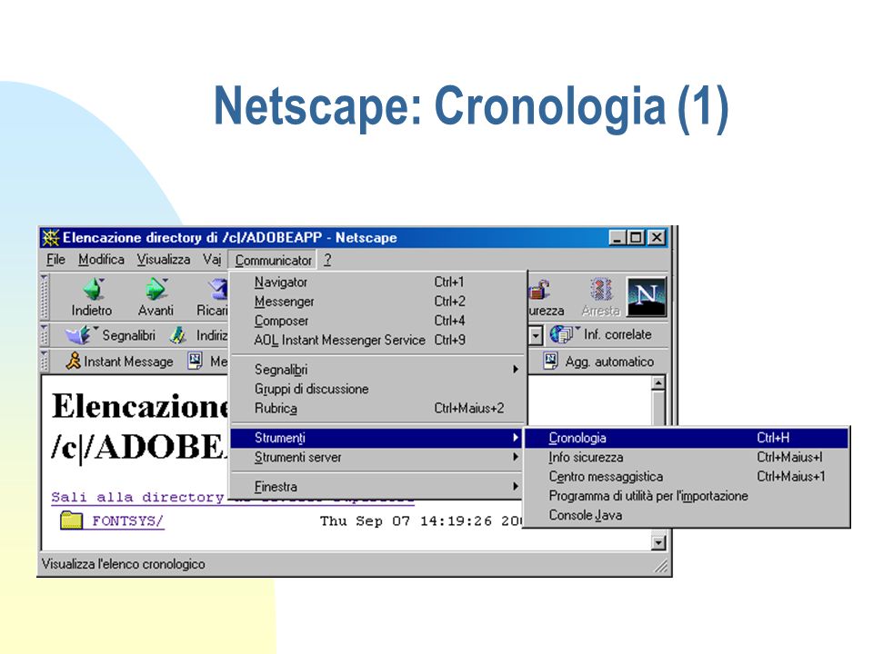 Netscape: Cronologia (1)