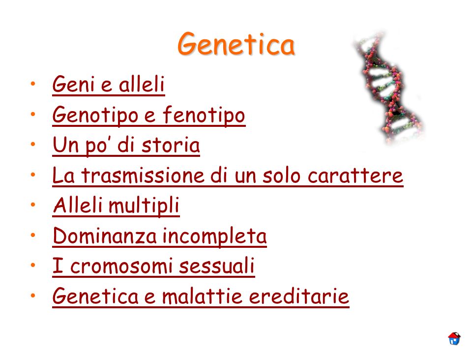 Genetica Geni e alleli Genotipo e fenotipo Un po’ di storia