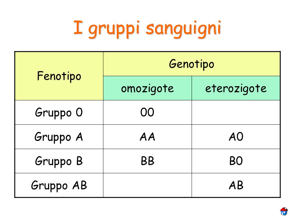 I gruppi sanguigni Fenotipo Genotipo omozigote eterozigote Gruppo 0 00