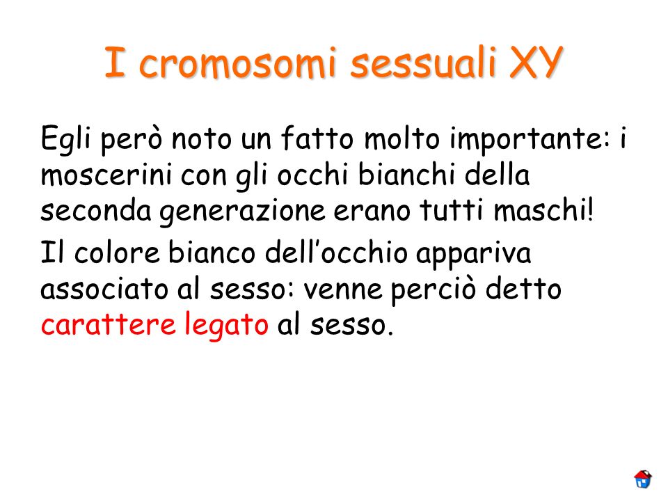 I cromosomi sessuali XY