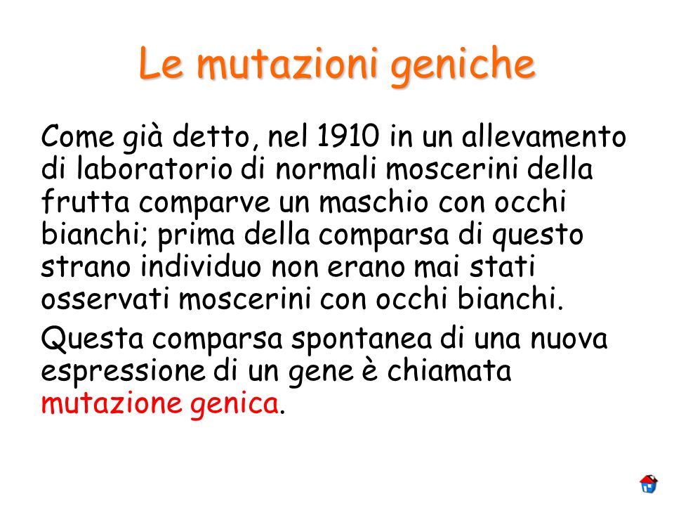 Le mutazioni geniche