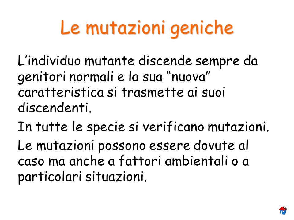 Le mutazioni geniche L’individuo mutante discende sempre da genitori normali e la sua nuova caratteristica si trasmette ai suoi discendenti.
