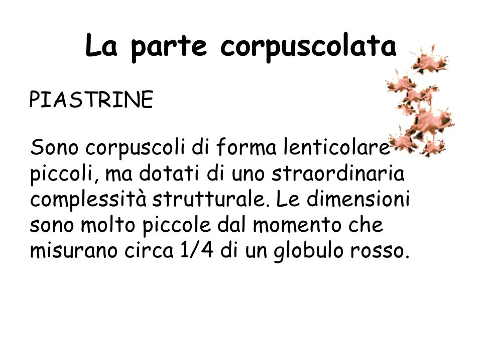 La parte corpuscolata PIASTRINE