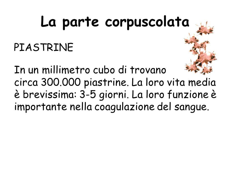 La parte corpuscolata PIASTRINE