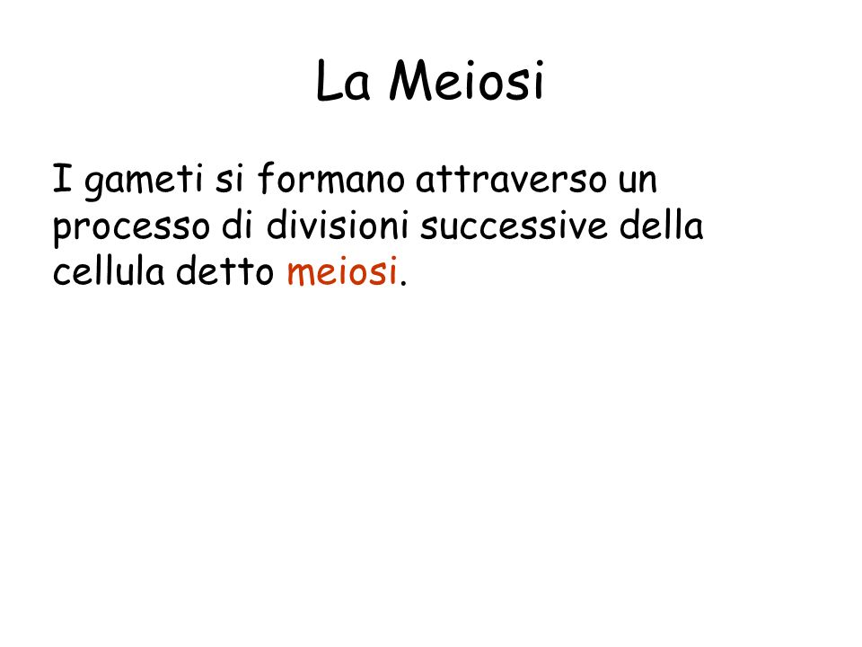 La Meiosi I gameti si formano attraverso un processo di divisioni successive della cellula detto meiosi.