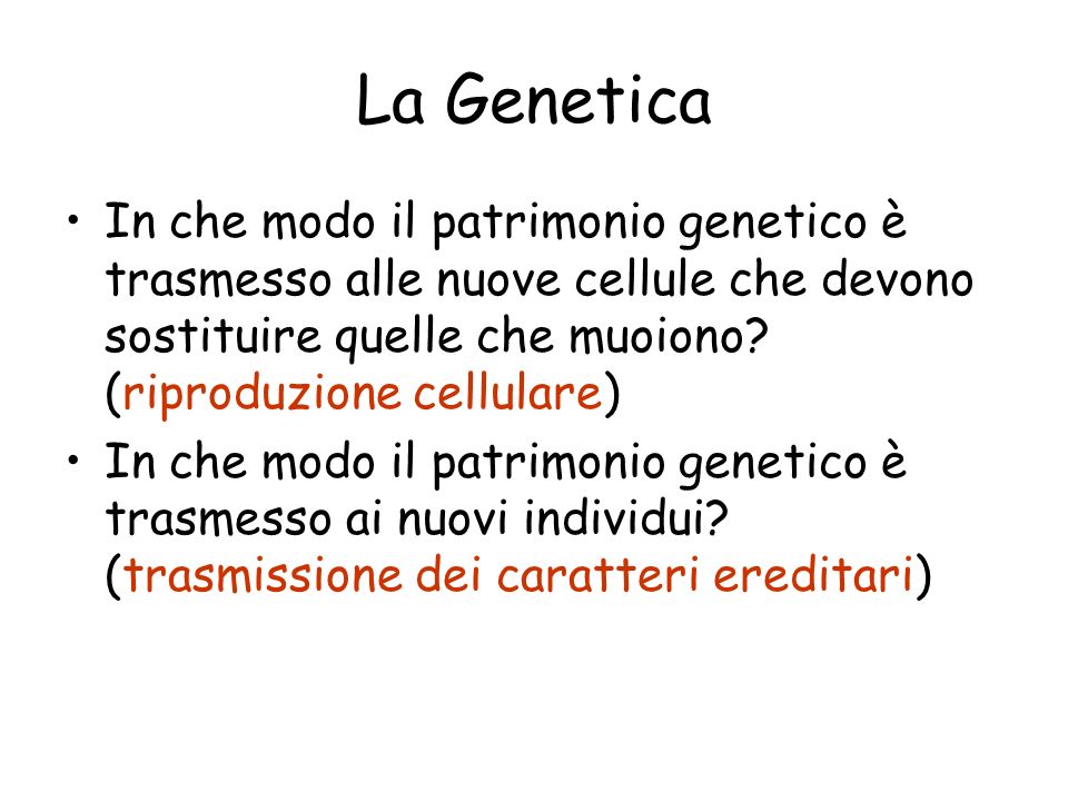 La Genetica In che modo il patrimonio genetico è trasmesso alle nuove cellule che devono sostituire quelle che muoiono (riproduzione cellulare)