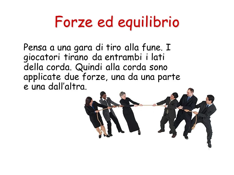 Forze ed equilibrio