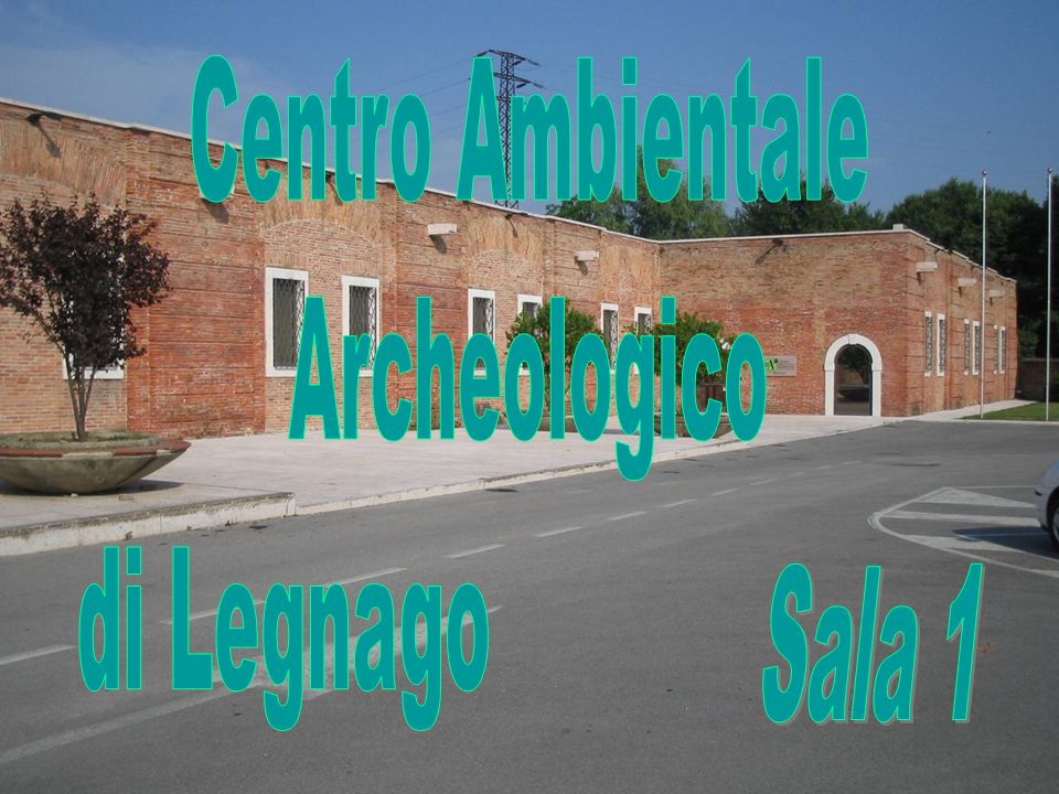 Centro Ambientale Archeologico di Legnago Sala 1