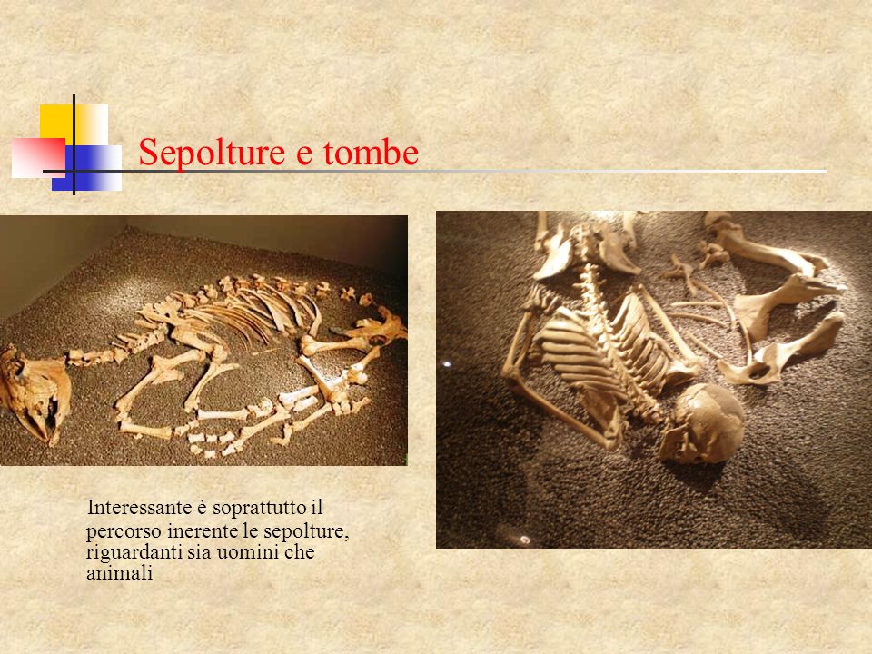 Sepolture e tombe Interessante è soprattutto il percorso inerente le sepolture, riguardanti sia uomini che animali.