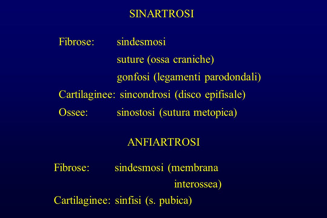 SINARTROSI Fibrose: sindesmosi. suture (ossa craniche) gonfosi (legamenti parodondali) Cartilaginee: sincondrosi (disco epifisale)